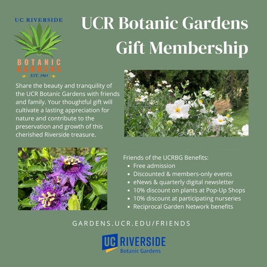 Membership